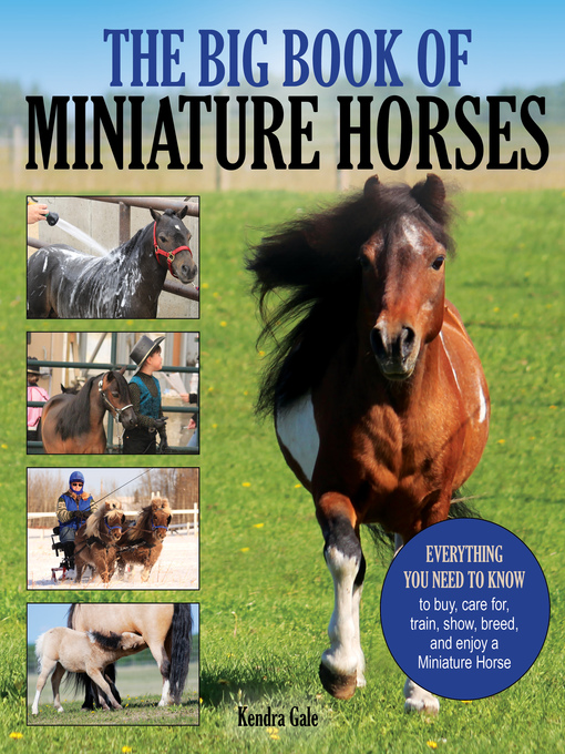 Kendra Gale作のThe Big Book of Miniature Horsesの作品詳細 - 貸出可能